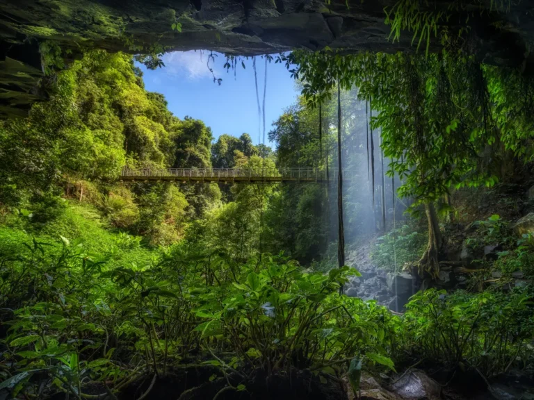 filters_focal1219x560_1220x561